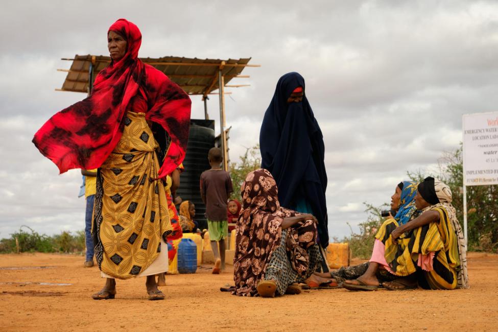 Berita Sosial Somalia, Pembaruan Terkini dari Tanah Somalia