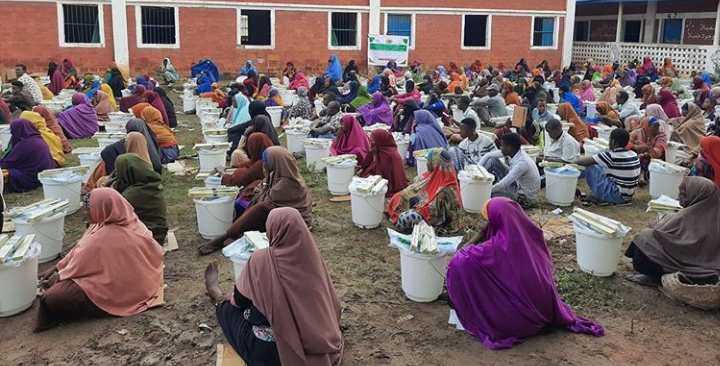Krisis Pangan Akut di Somalia, Membutuhkan Respons Mendalam